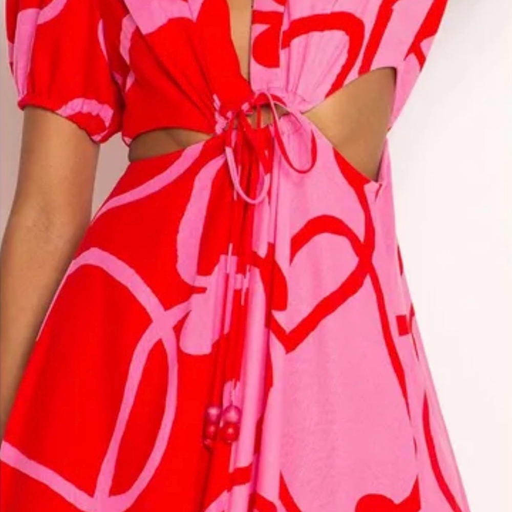 FARM Rio Red and Pink cashews Patterned Dress - Picture 5 of 10